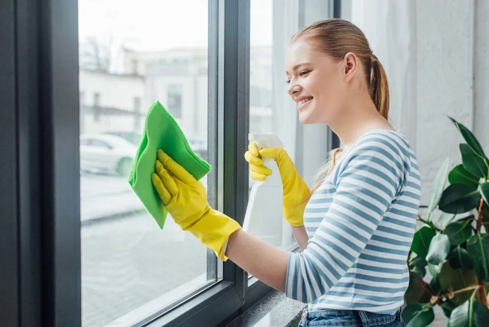 Interior and Exterior Window Cleaning