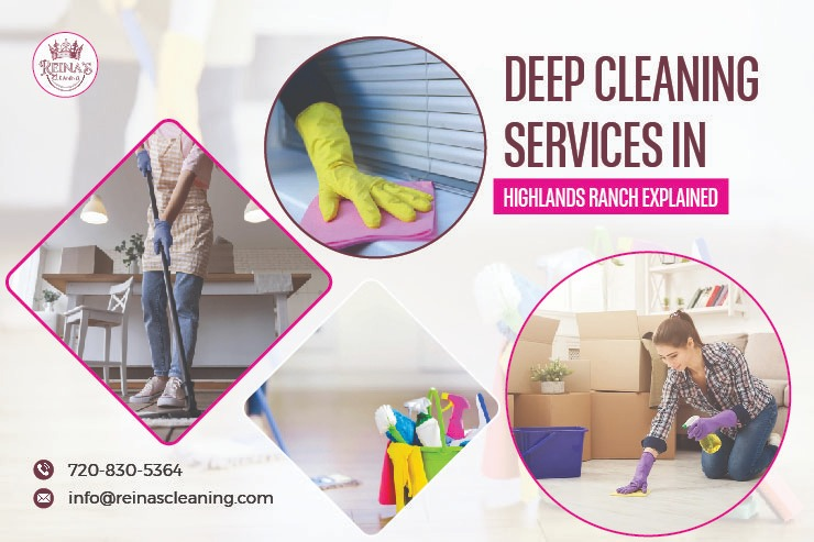 Deep Cleaning Services in Highlands Ranch Explained | Reina’s Cleaning